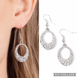 🐾 Showroom Sizzle ✨